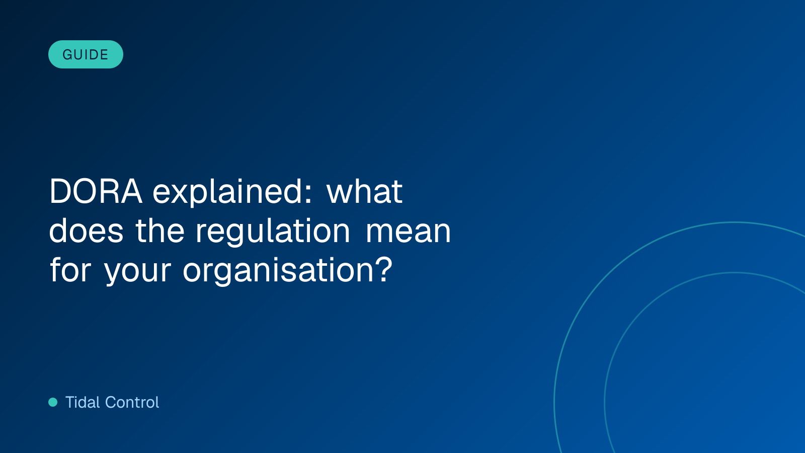 DORA explained: what does the regulation mean for your organisation?